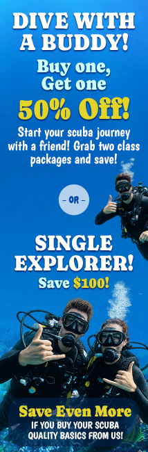 Dive with a buddy! Buy one, Get one. 50% Off!